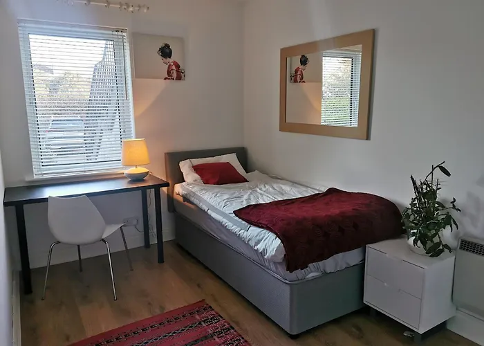 Single In Charming With The Terrace And The Cat In Sandymount