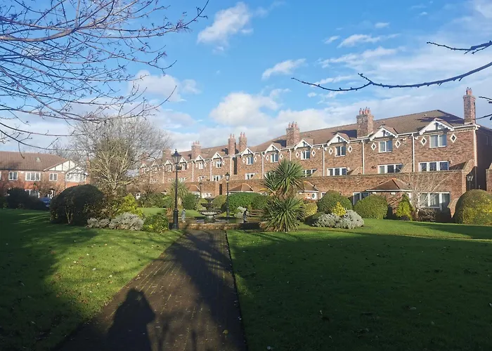 Single In Charming With The Terrace And The Cat In Sandymount